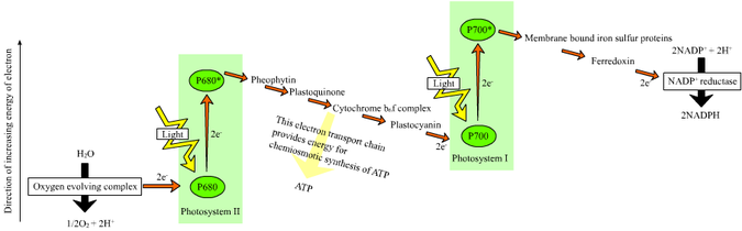 675px-Z-scheme