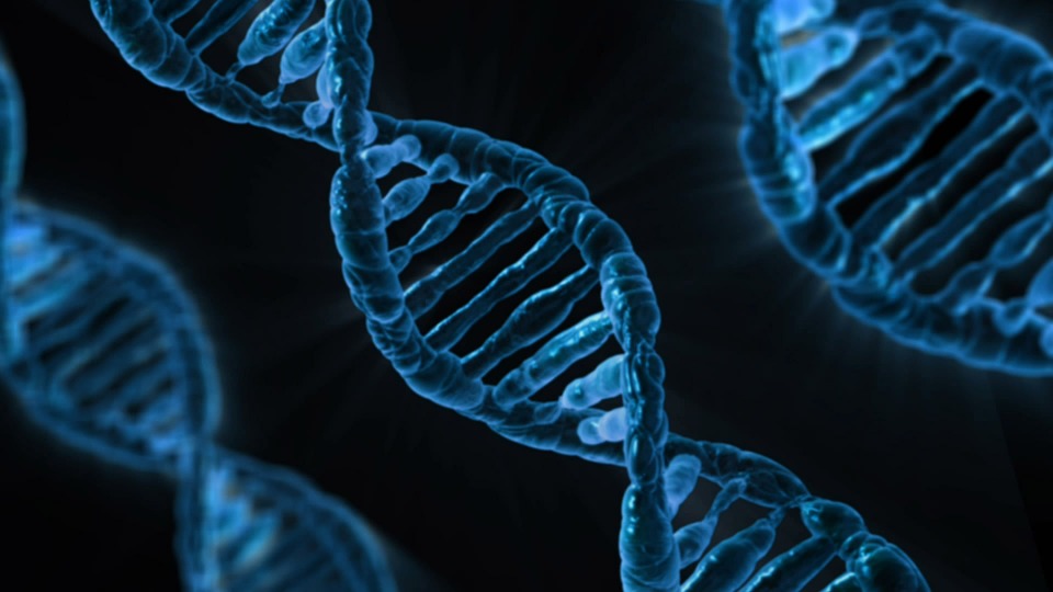 What is DNA? Everything You Need To Know | Albert.io 8