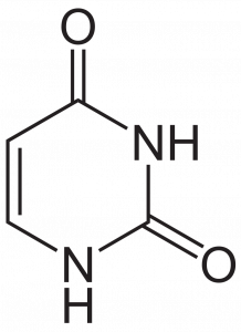 Uracil