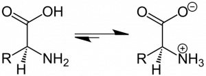 Amino Acid Zwitterion Structural Formulae