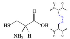 Cysteine