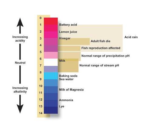 pH Chemistry (Acids & Bases) - Definition, Calculating pH Value, Videos &  Examples of pH Chemistry, With Increase in Temperature pH of Pure Water