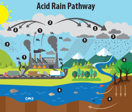 Measuring Acid Rain