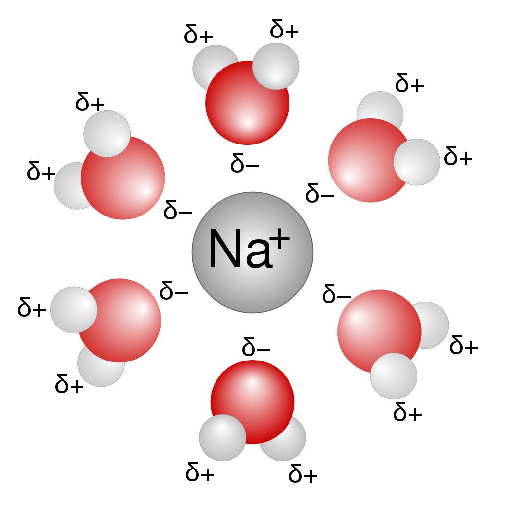 Solubility Rules The Ultimate Guide To Ap® Chemistry