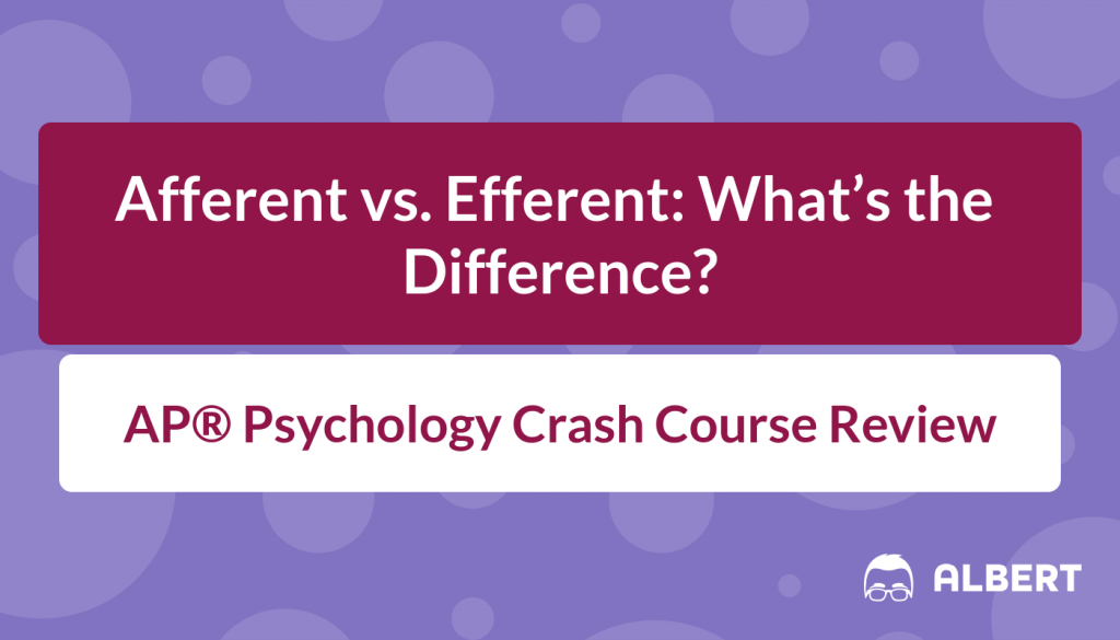 Afferent vs. Efferent - AP® Psychology Crash Course Review