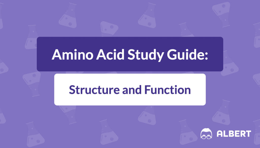 Amino Acid Study Guide: Structure and Function