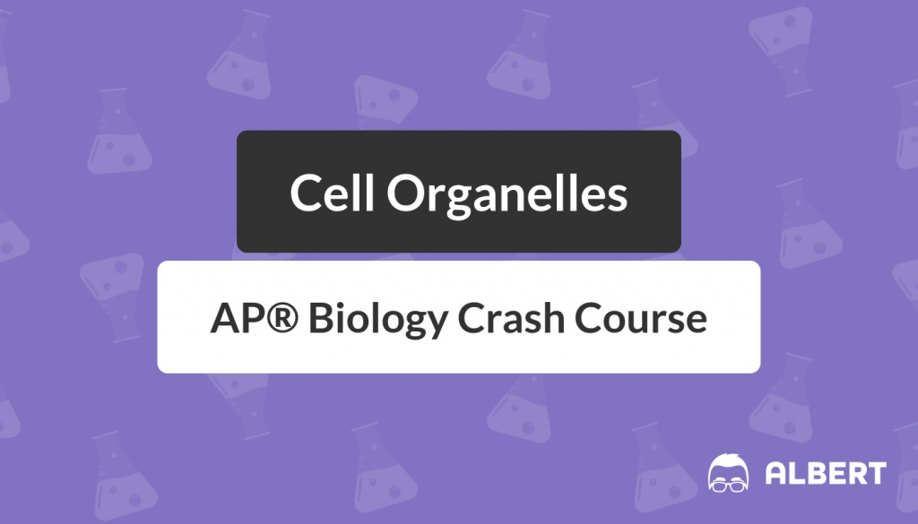 Cell Organelles - AP® Biology Crash Course