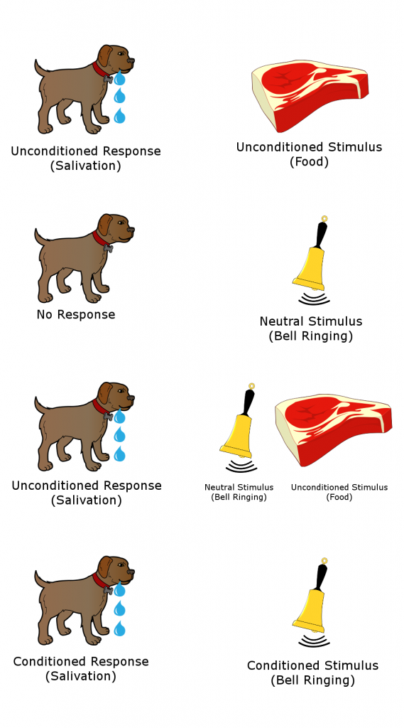 ap psychology frq classical conditioning