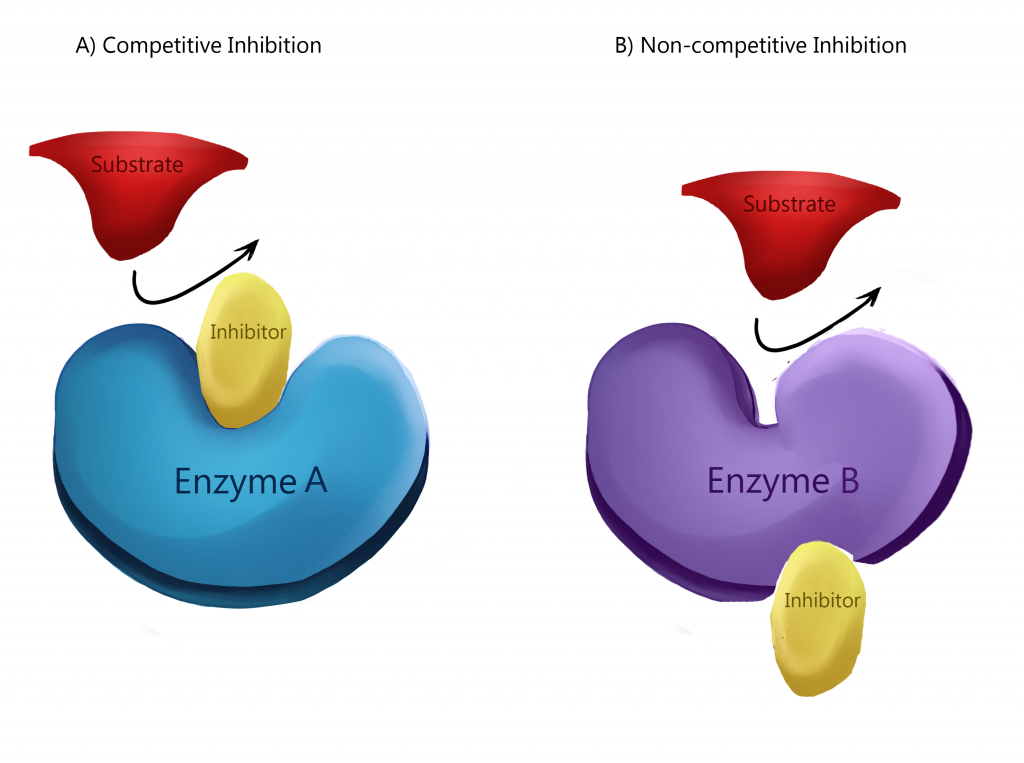 Enzyme inhibition