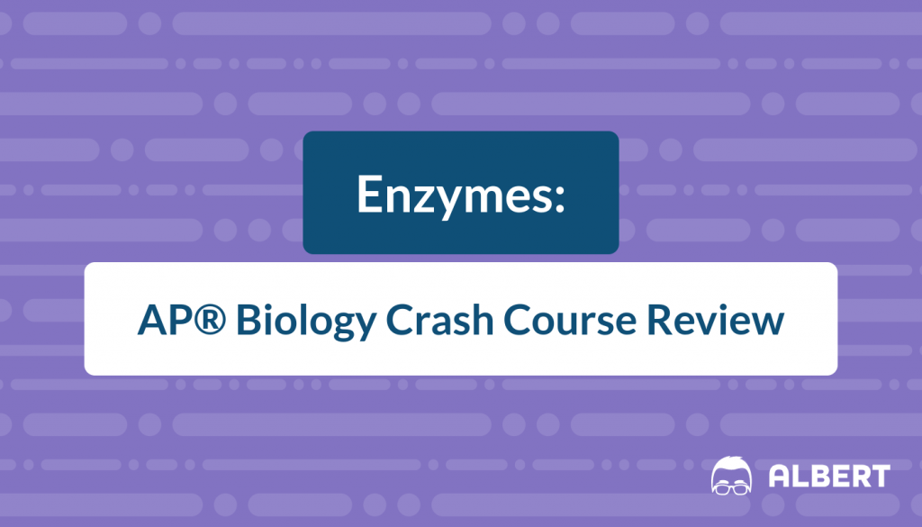 Enzymes - AP® Biology Crash Course Review