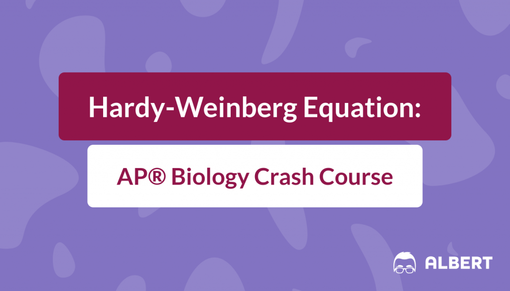 Hardy Weinberg Equation Ap Biology Crash Course