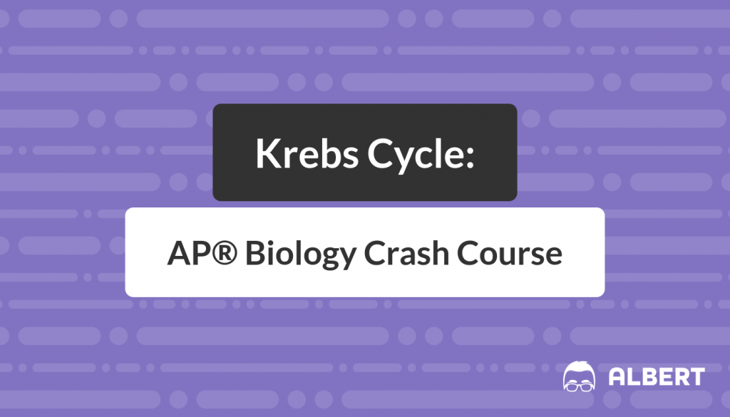 Krebs Cycle - AP® Biology Crash Course