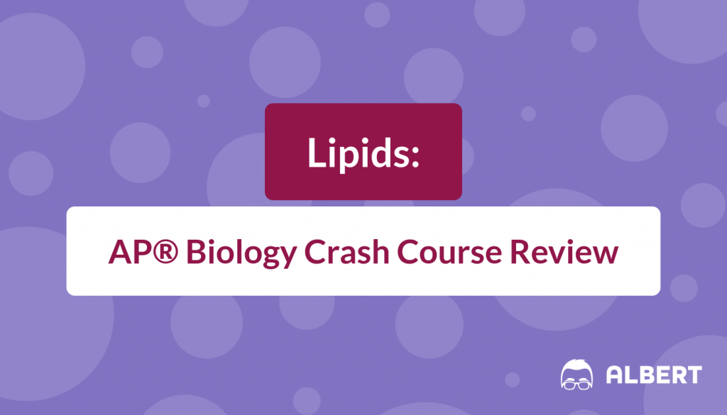 Miller Levine Chapter 2 Section 3 Chapter 2b Part 5 Lipids Chapter Biology Bond