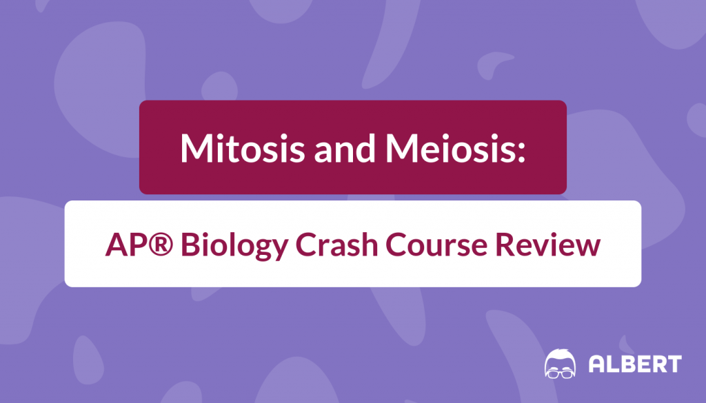 ap biology free response questions mitosis and meiosis