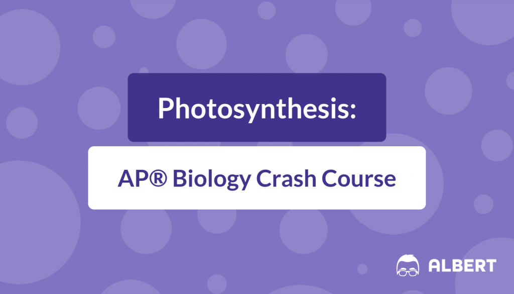 Photosynthesis - AP® Biology Crash Course