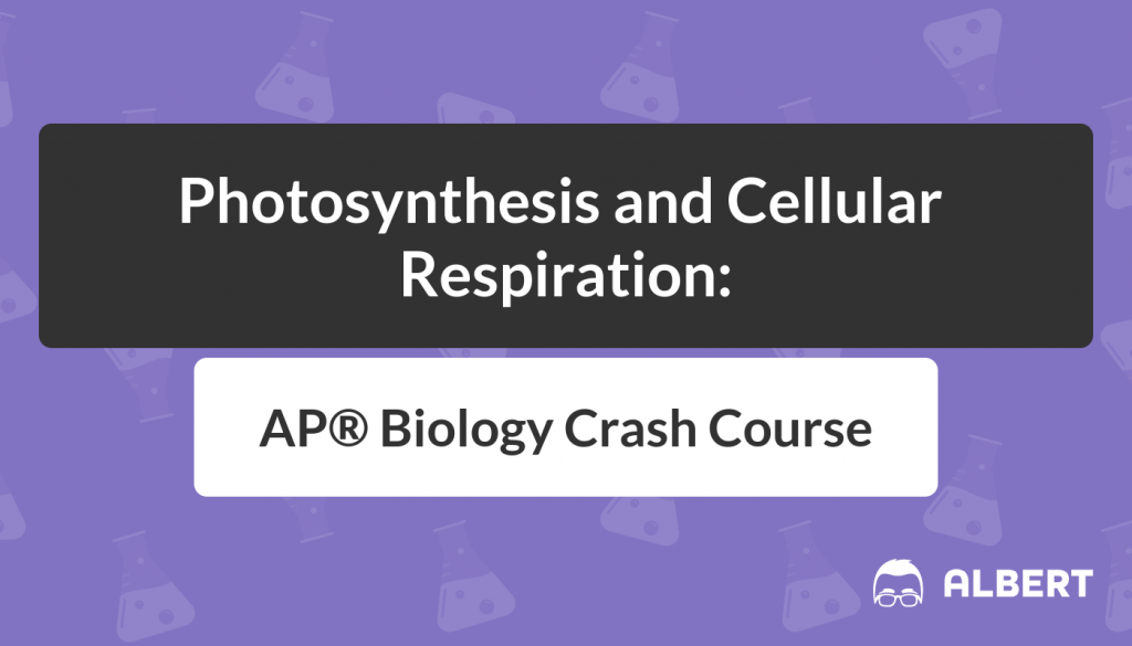 Photosynthesis and Cellular Respiration - AP® Biology Crash Course