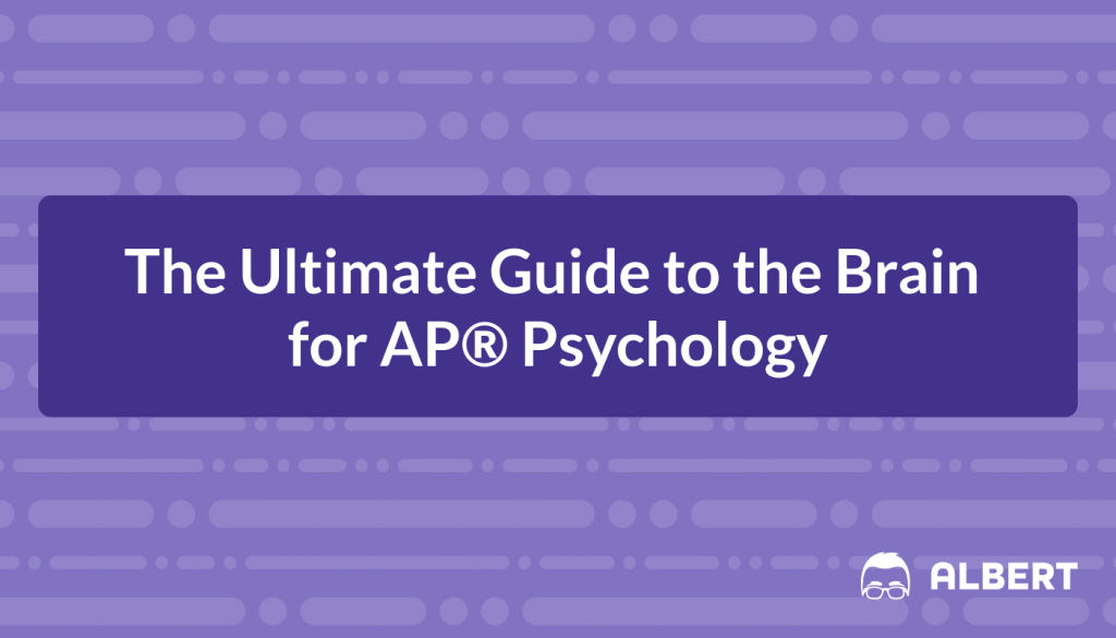 The Ultimate Guide to the Brain for AP® Psychology