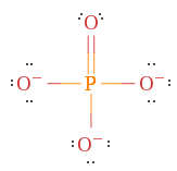 single oxygen lewis structure