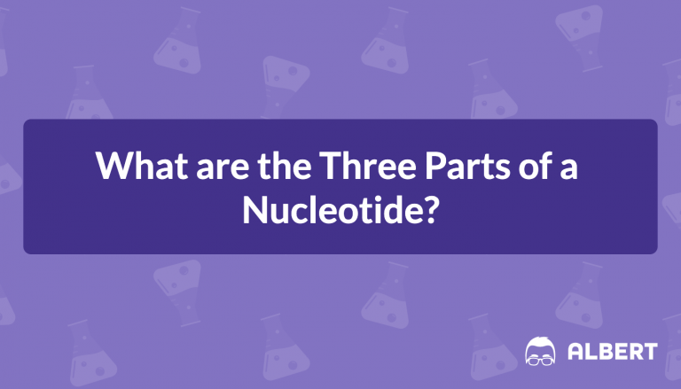 What are the Three Parts of a Nucleotide?