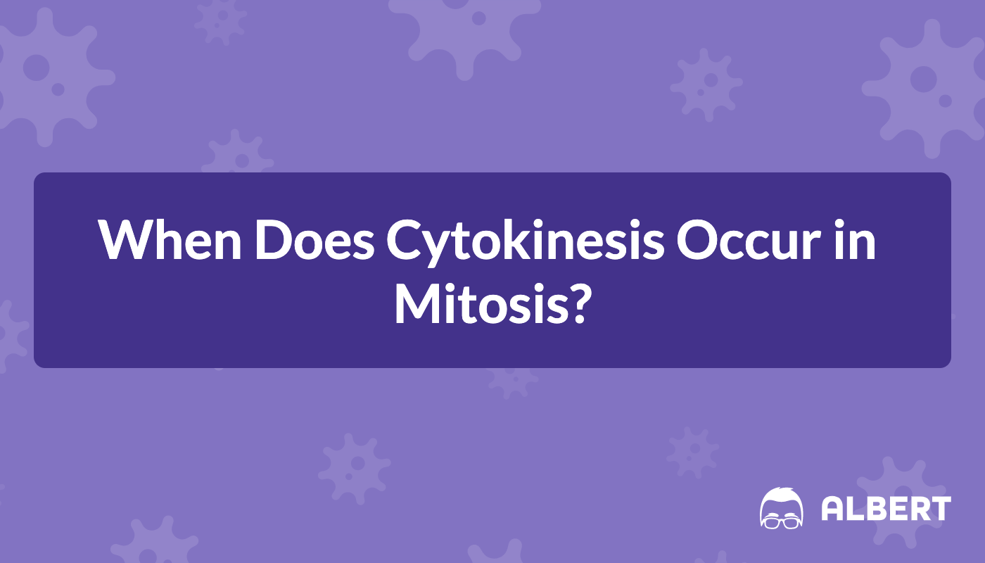 When Does Cytokinesis Occur In Mitosis Albert Io