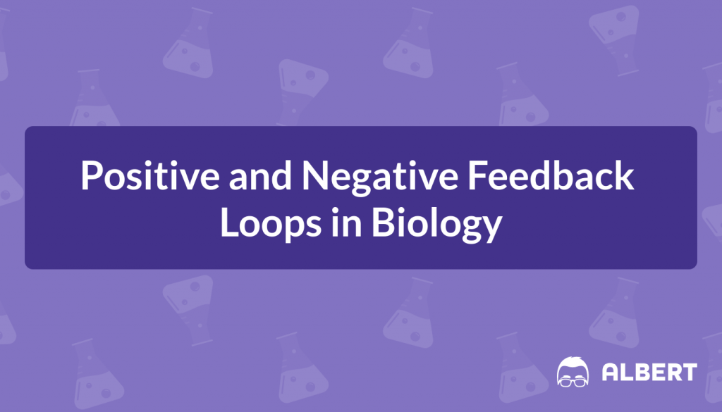 Positive and Negative Feedback Loops in Biology