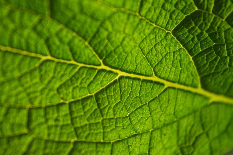AP® Biology Practice Tests Albert Resources