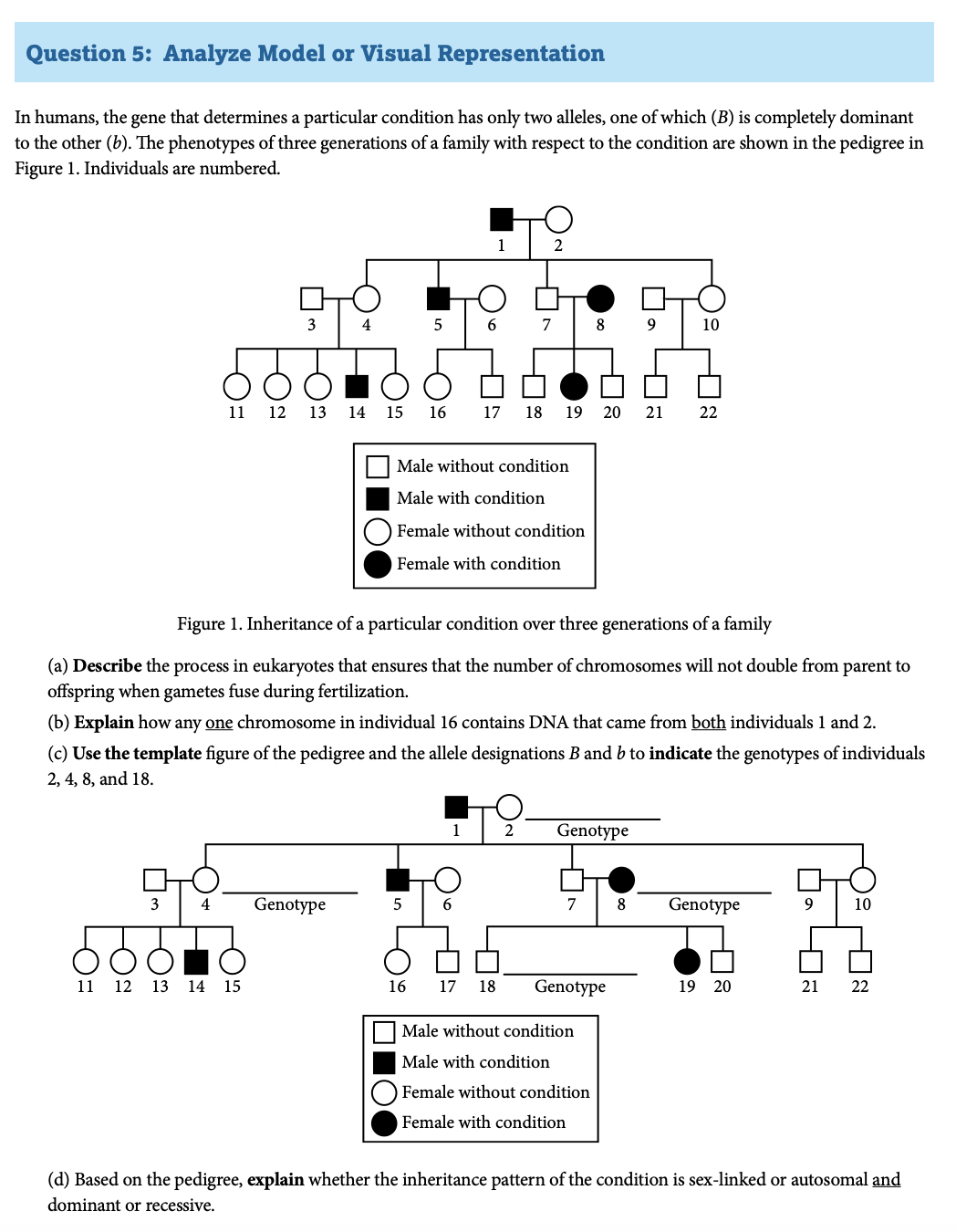 Unit 3 Short Test 2B: Grammar, PDF, Morphology