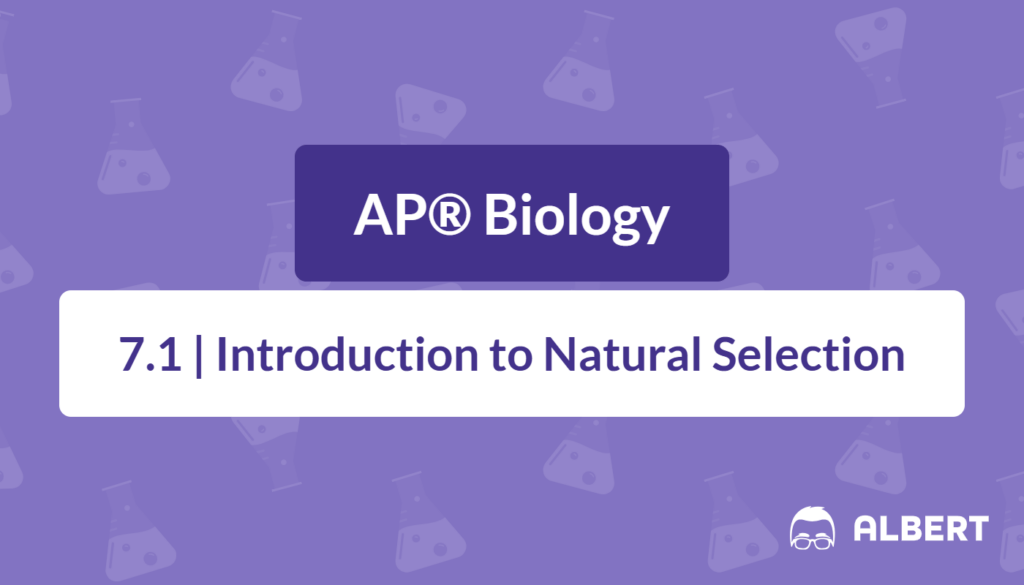 evolution and natural selection