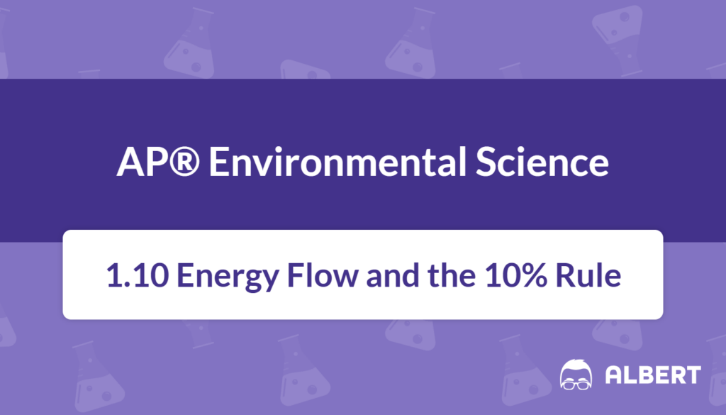 energy flow