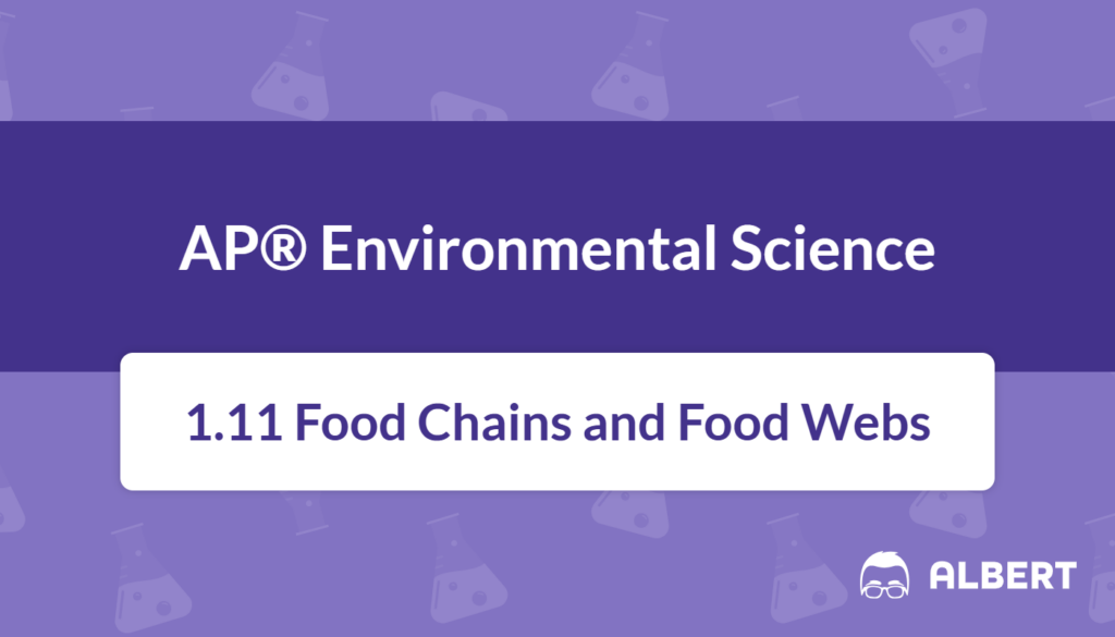 food chains and food webs