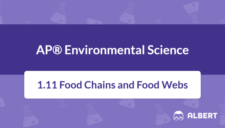 food chains and food webs