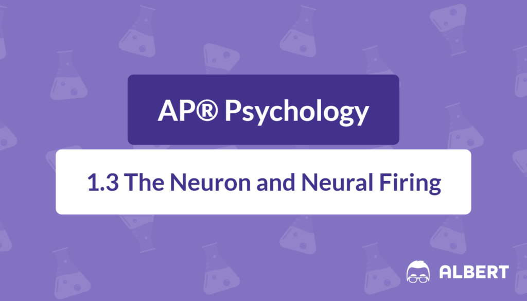 neuron activation
