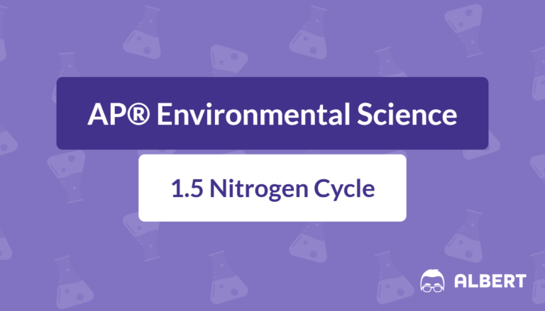 nitrogen cycle steps