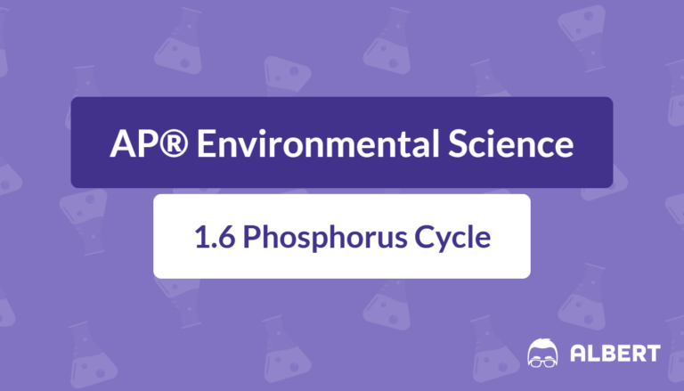 phosphorus cycle