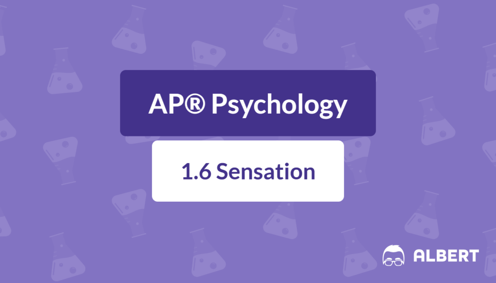 Sensory perception