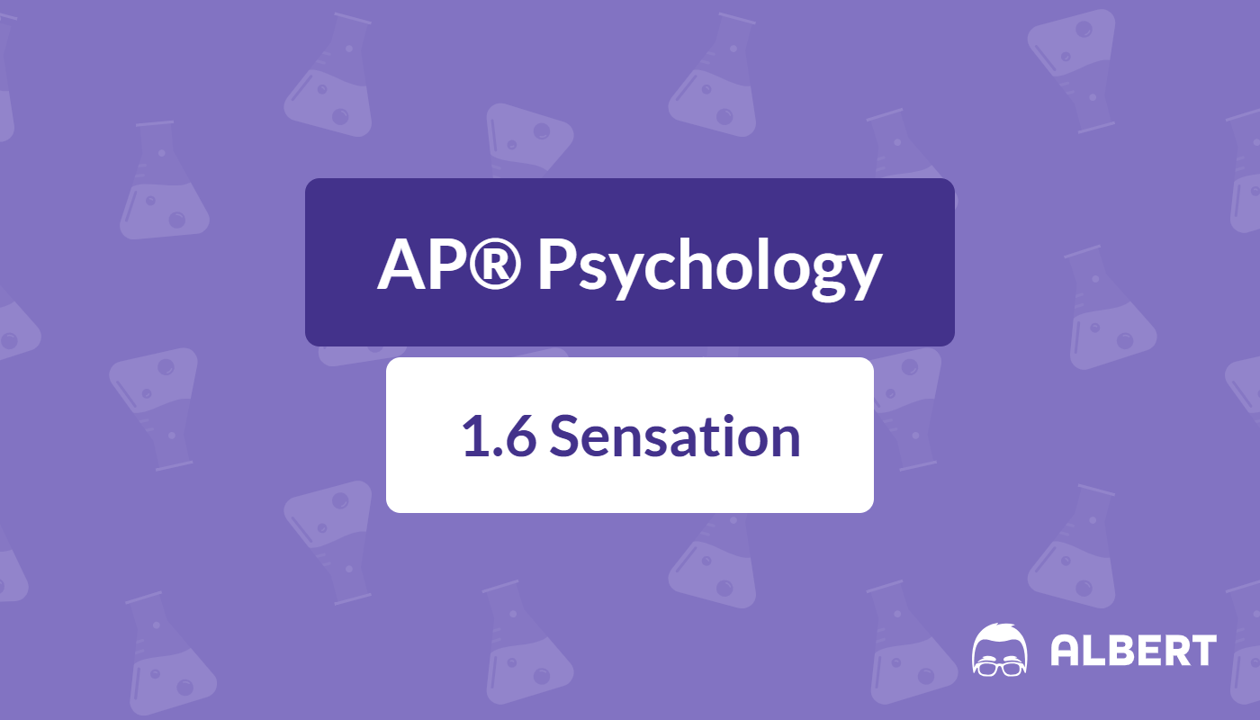 Sensory perception