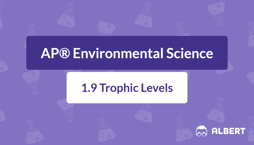 trophic levels