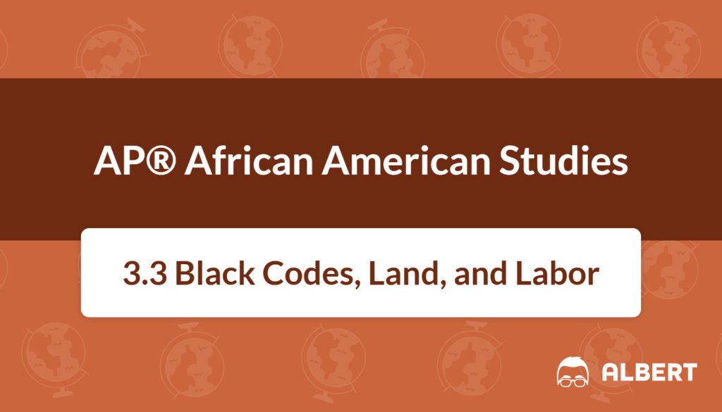 what are the black codes