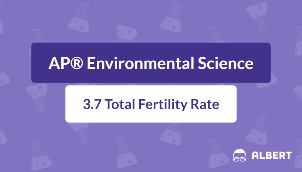 total fertility rate definition