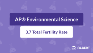 total fertility rate definition