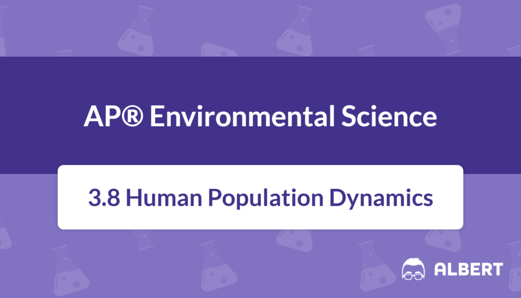 population dynamics