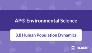 population dynamics