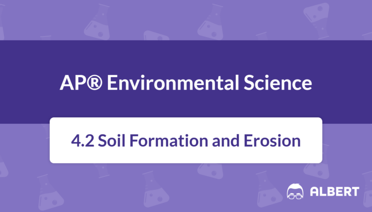 soil formation