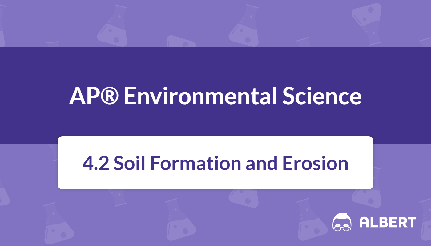 soil formation