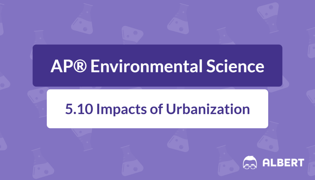 impacts of urbanization on environment