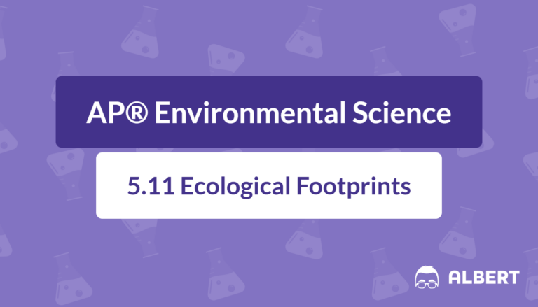 ecological footprint definition
