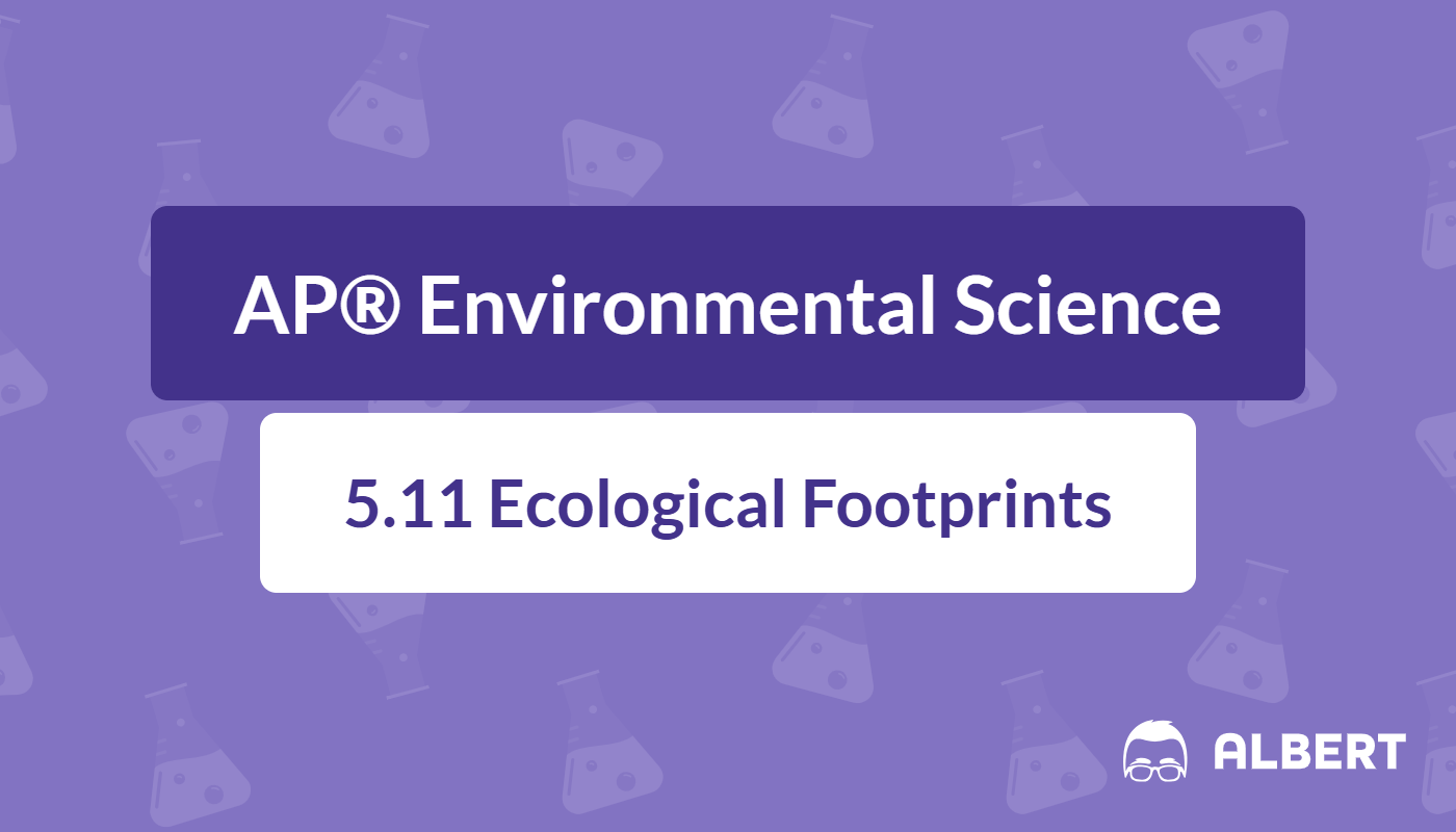 ecological footprint definition