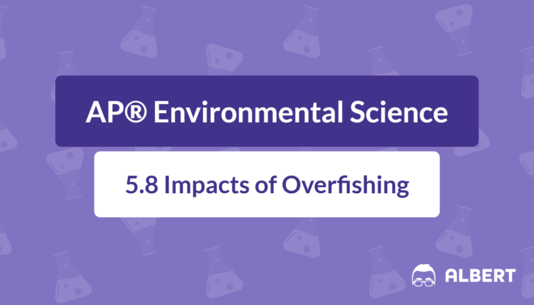 impacts of overfishing