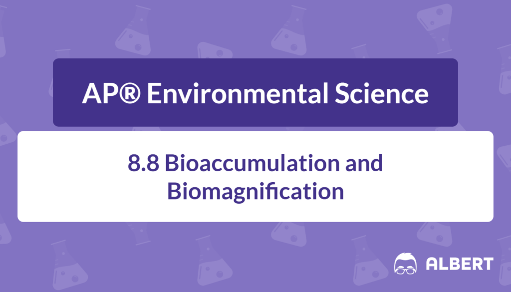 bioaccumulation and biomagnification