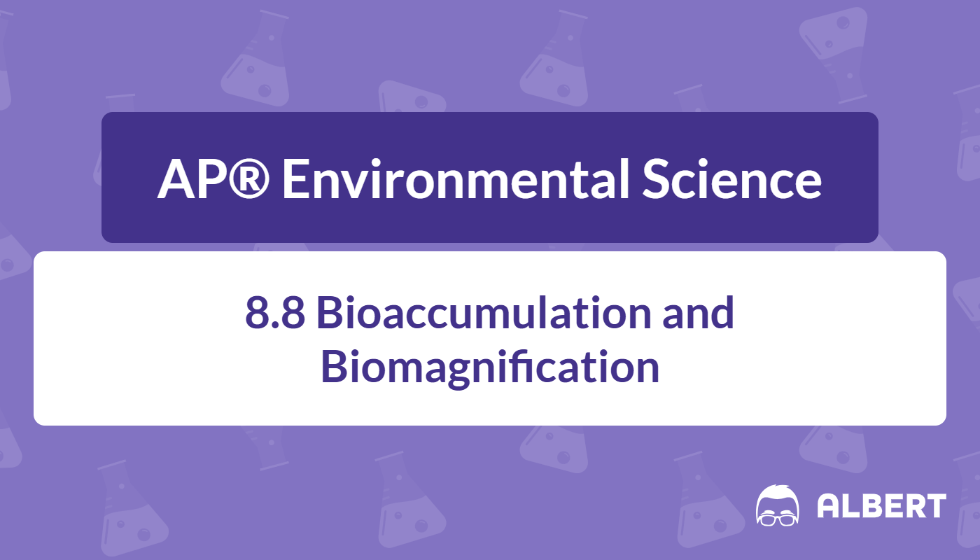 bioaccumulation and biomagnification